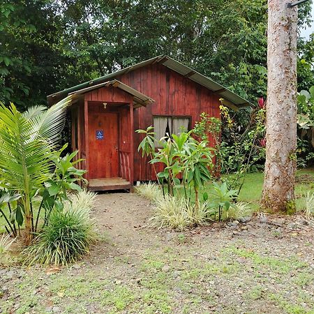 Citronela Lodge Corcovado Drakes Bay Buitenkant foto