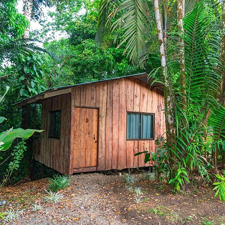 Citronela Lodge Corcovado Drakes Bay Buitenkant foto