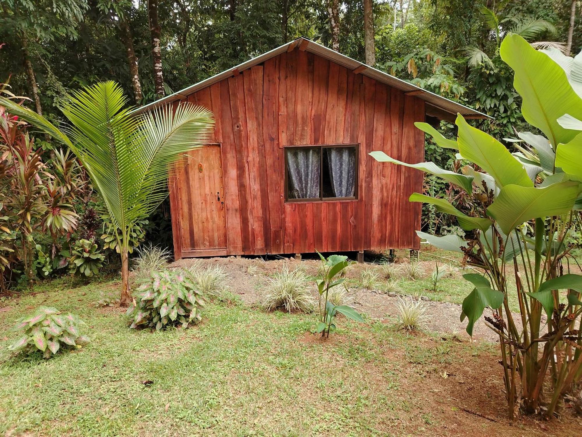 Citronela Lodge Corcovado Drakes Bay Buitenkant foto
