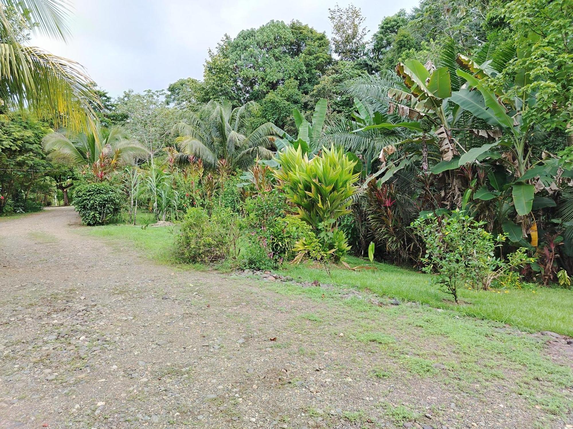 Citronela Lodge Corcovado Drakes Bay Buitenkant foto
