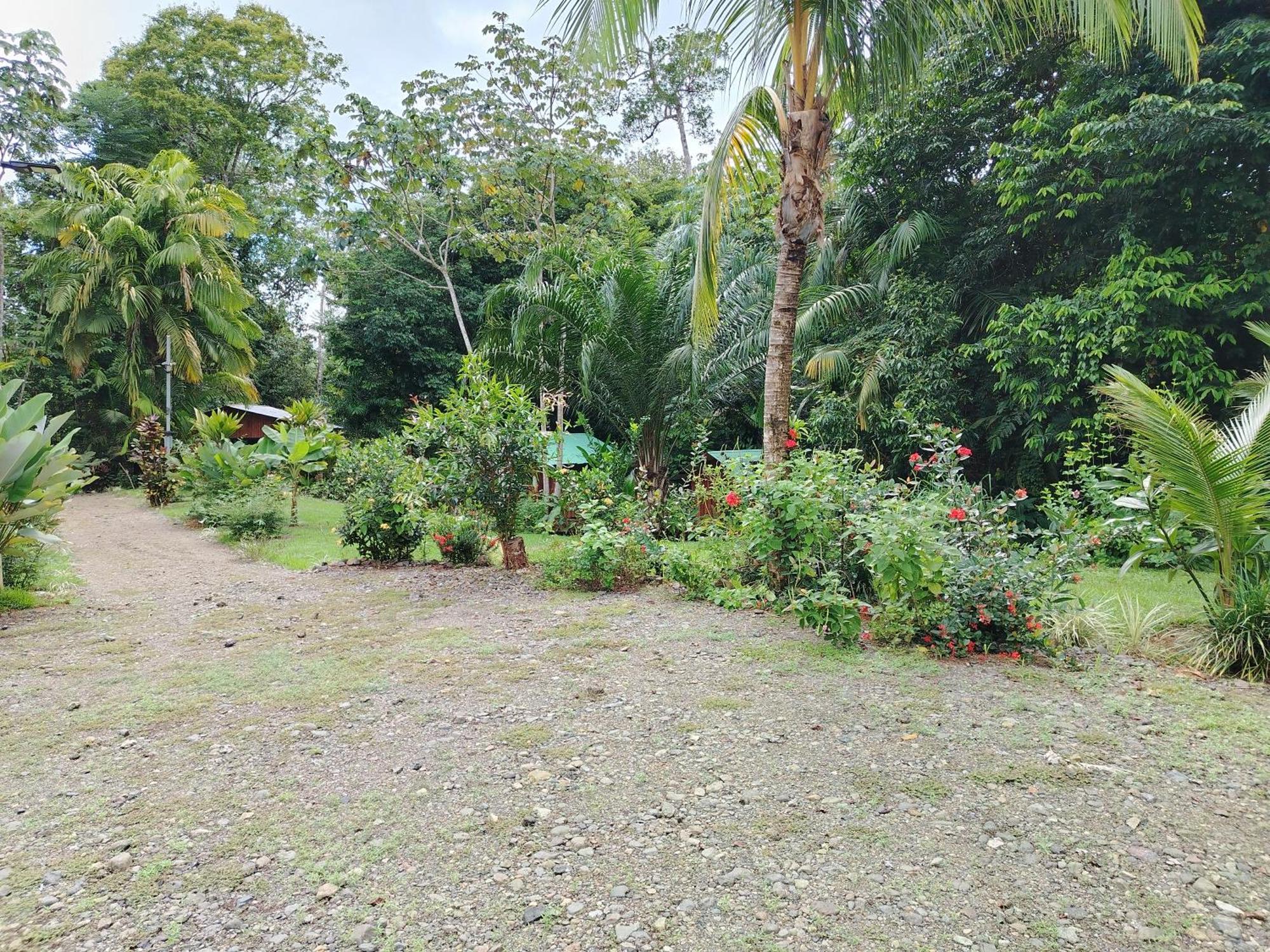 Citronela Lodge Corcovado Drakes Bay Buitenkant foto