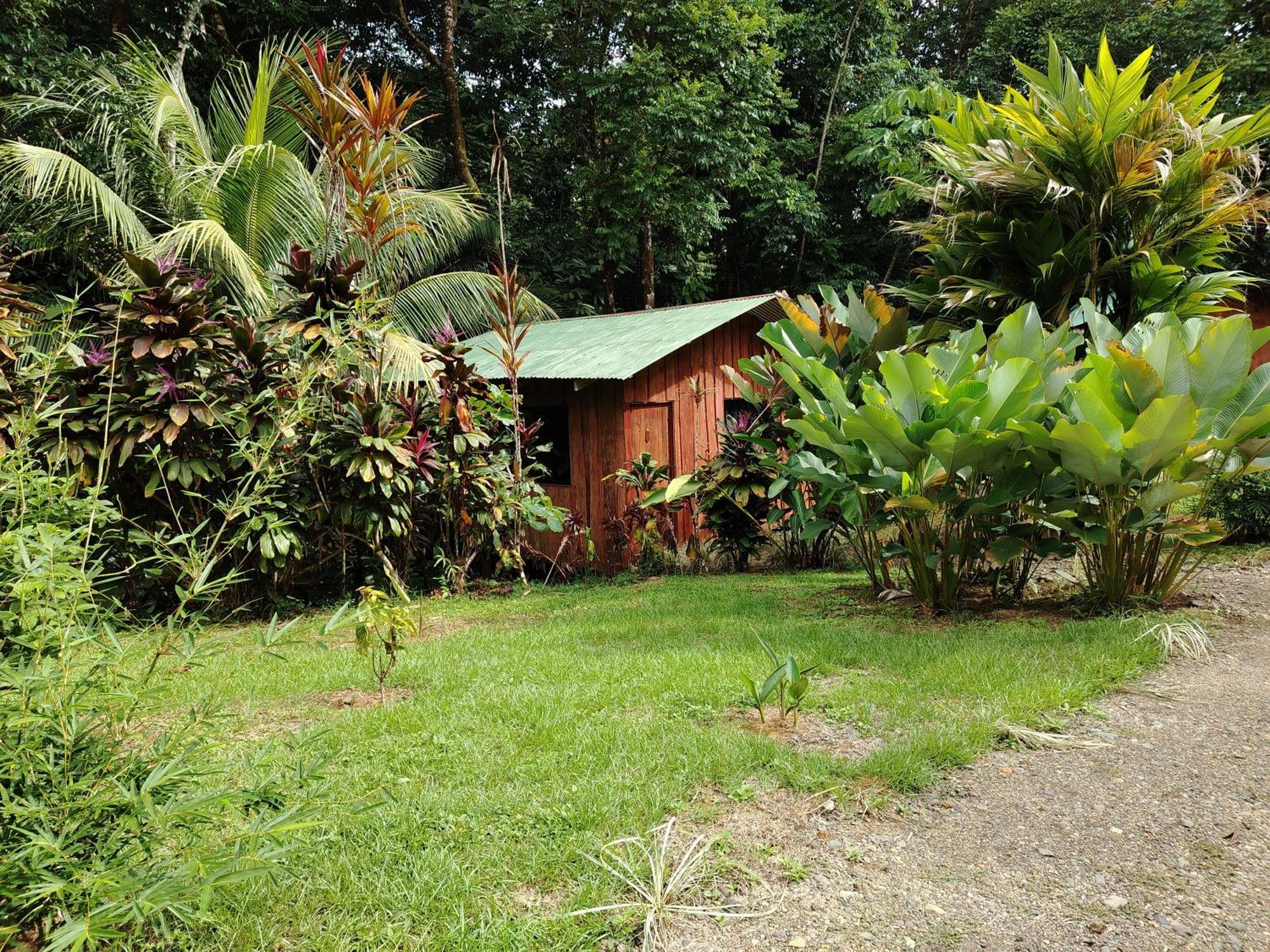 Citronela Lodge Corcovado Drakes Bay Buitenkant foto