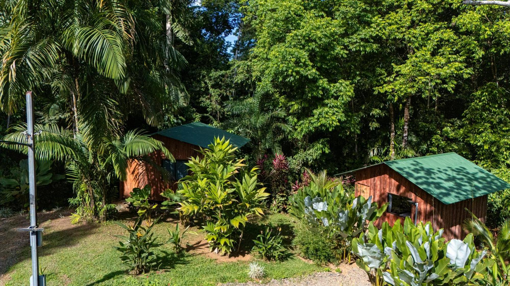 Citronela Lodge Corcovado Drakes Bay Buitenkant foto