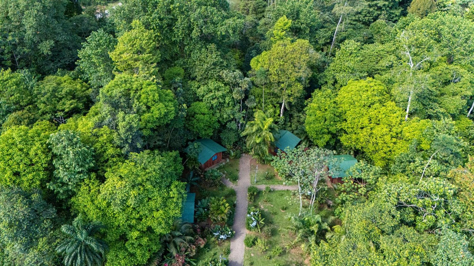 Citronela Lodge Corcovado Drakes Bay Buitenkant foto