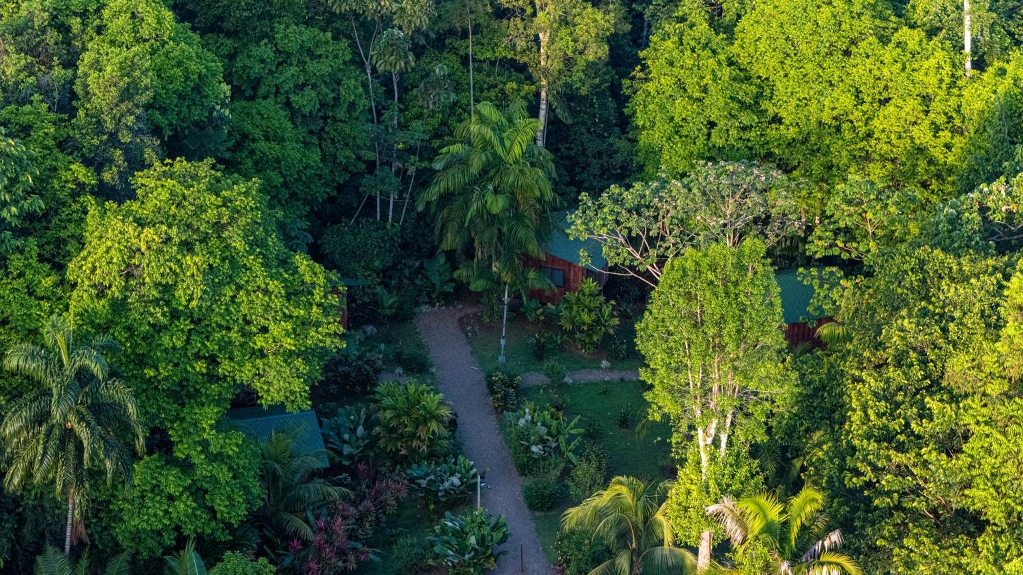 Citronela Lodge Corcovado Drakes Bay Buitenkant foto