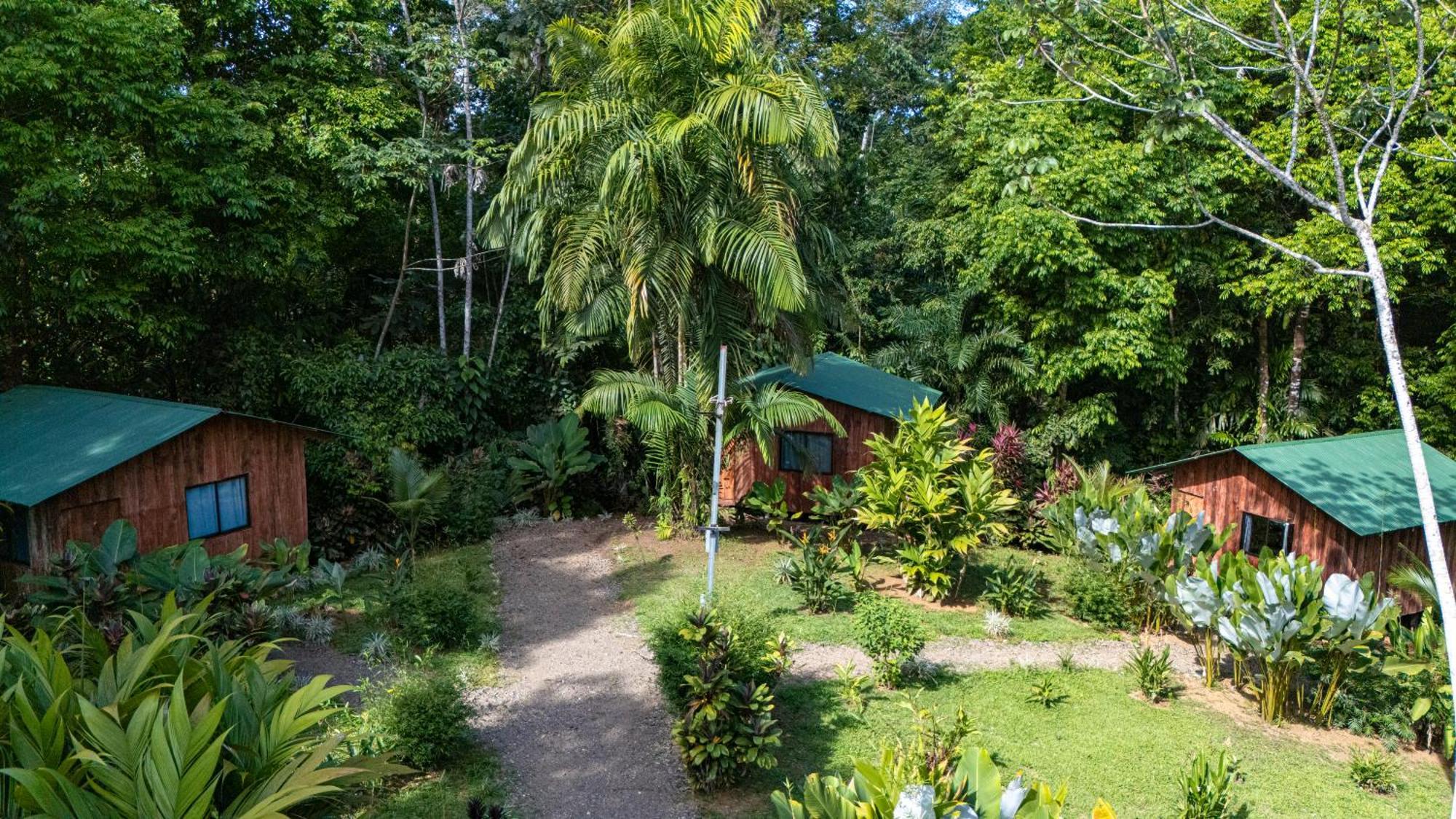 Citronela Lodge Corcovado Drakes Bay Buitenkant foto
