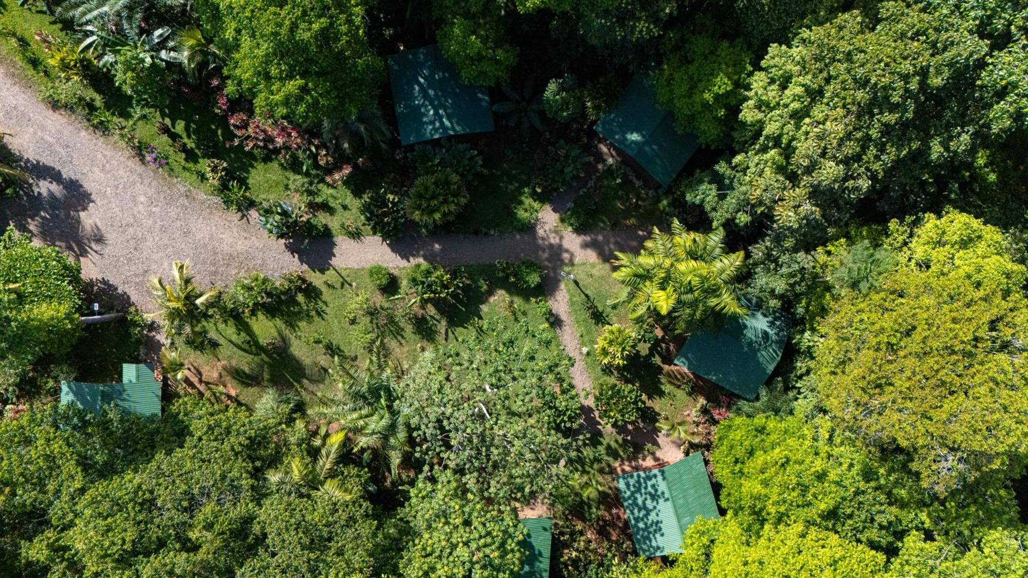 Citronela Lodge Corcovado Drakes Bay Buitenkant foto
