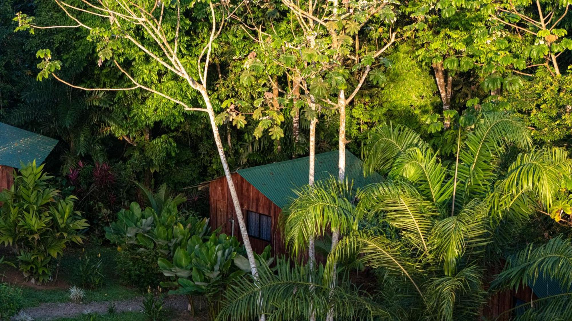 Citronela Lodge Corcovado Drakes Bay Buitenkant foto