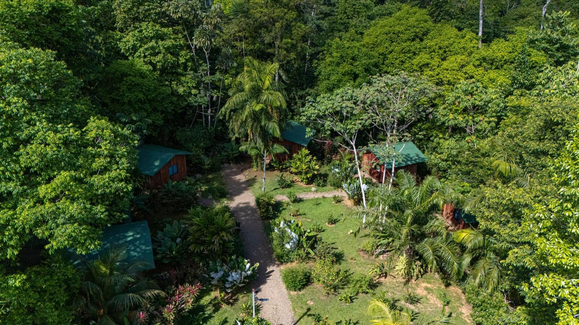 Citronela Lodge Corcovado Drakes Bay Buitenkant foto