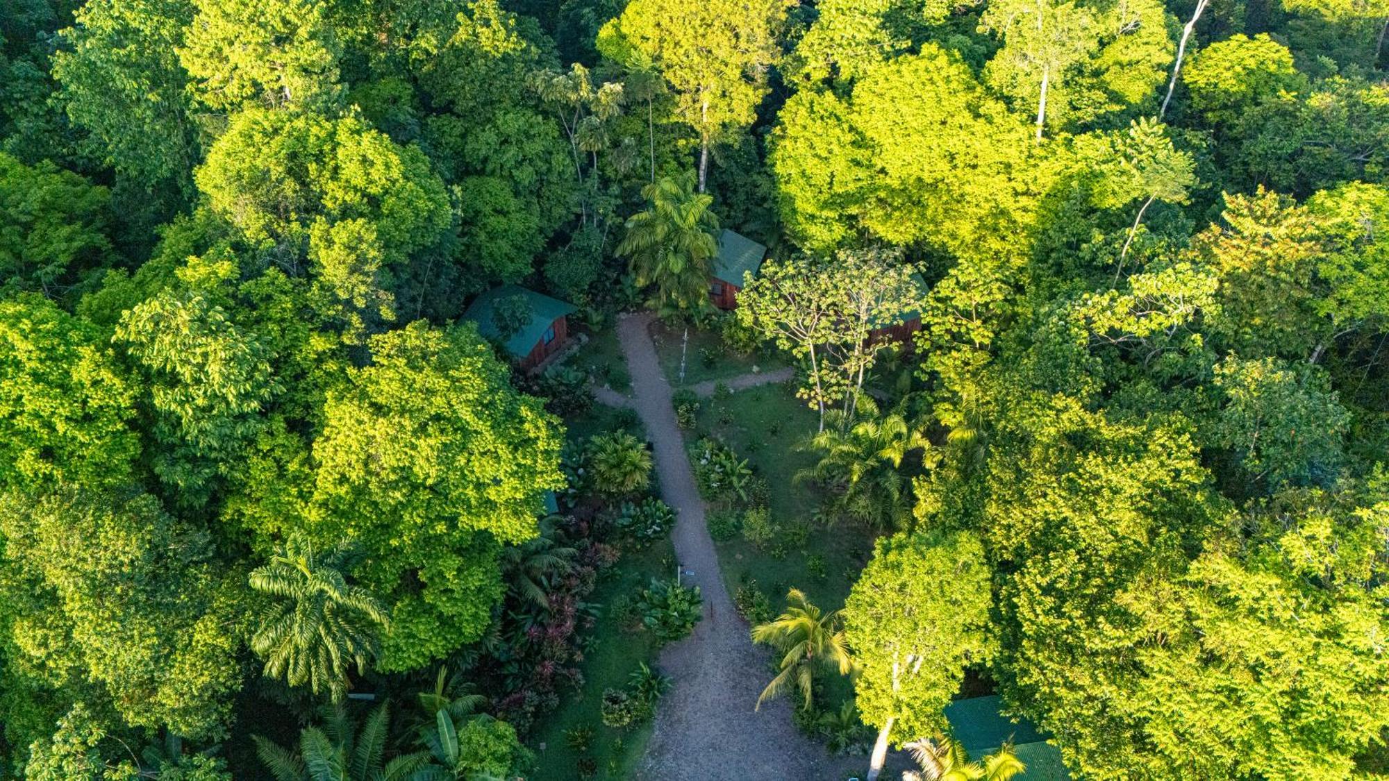 Citronela Lodge Corcovado Drakes Bay Buitenkant foto