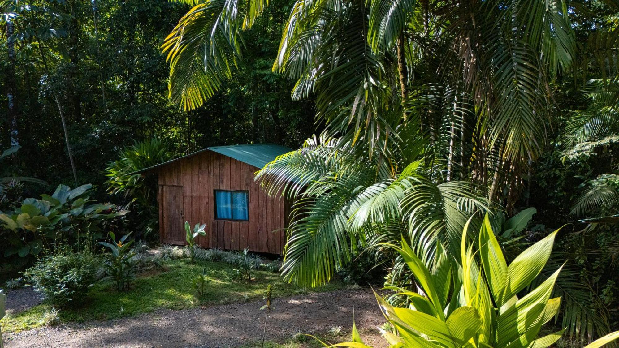 Citronela Lodge Corcovado Drakes Bay Buitenkant foto