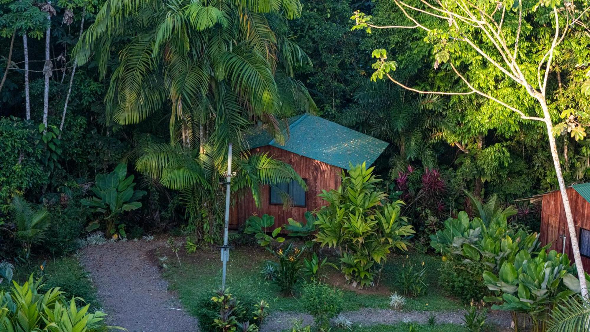 Citronela Lodge Corcovado Drakes Bay Buitenkant foto