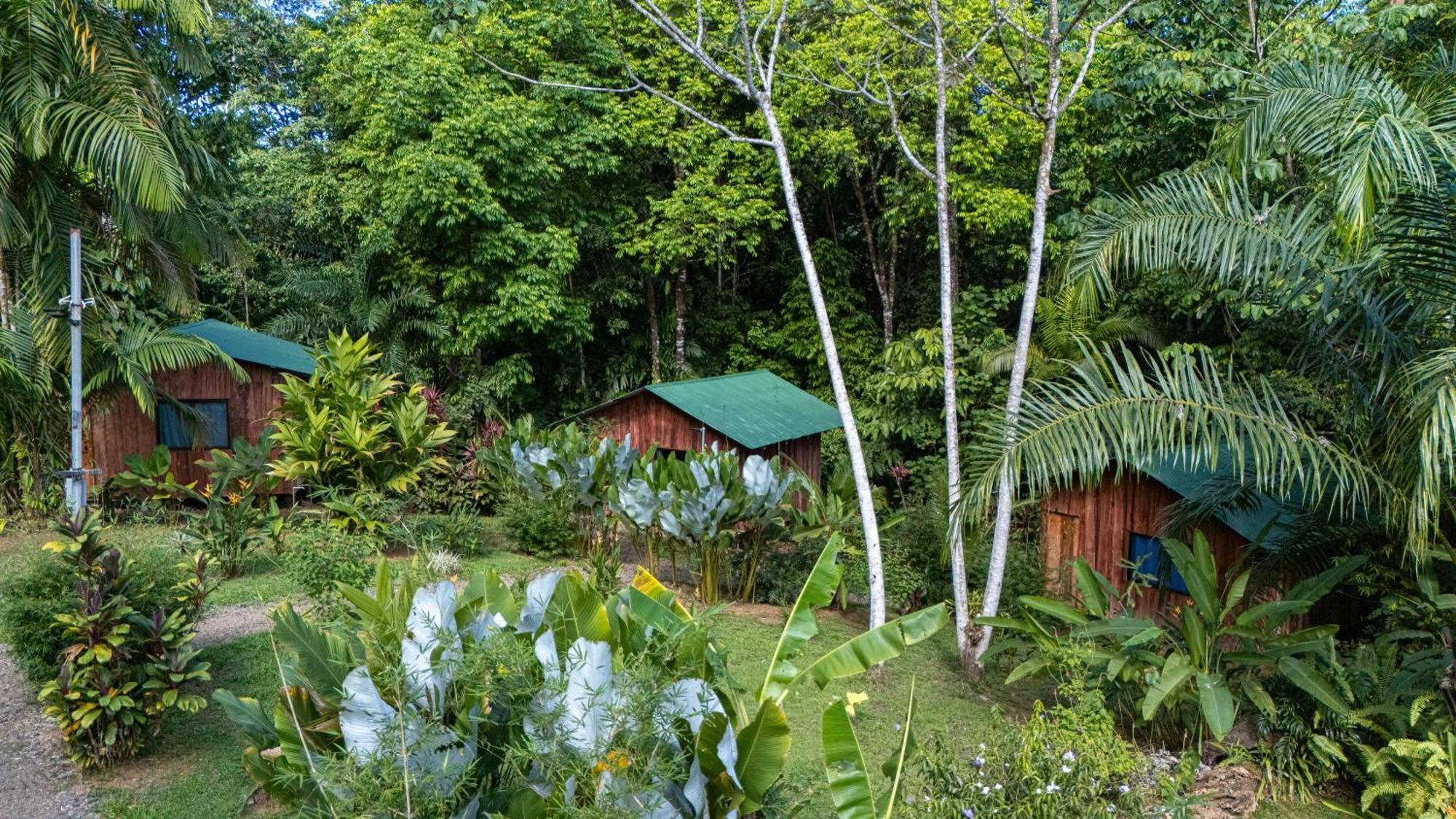 Citronela Lodge Corcovado Drakes Bay Buitenkant foto