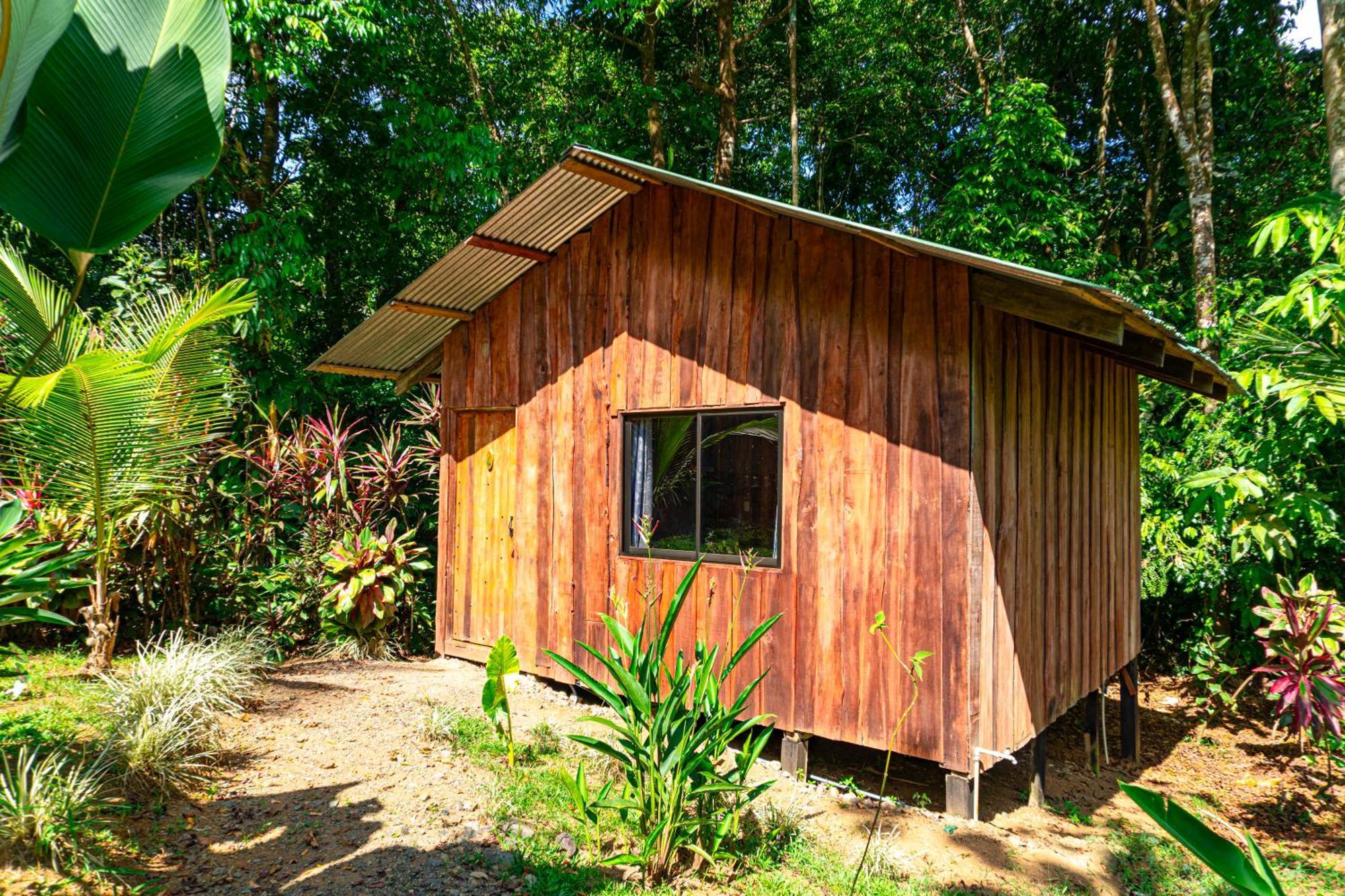 Citronela Lodge Corcovado Drakes Bay Buitenkant foto