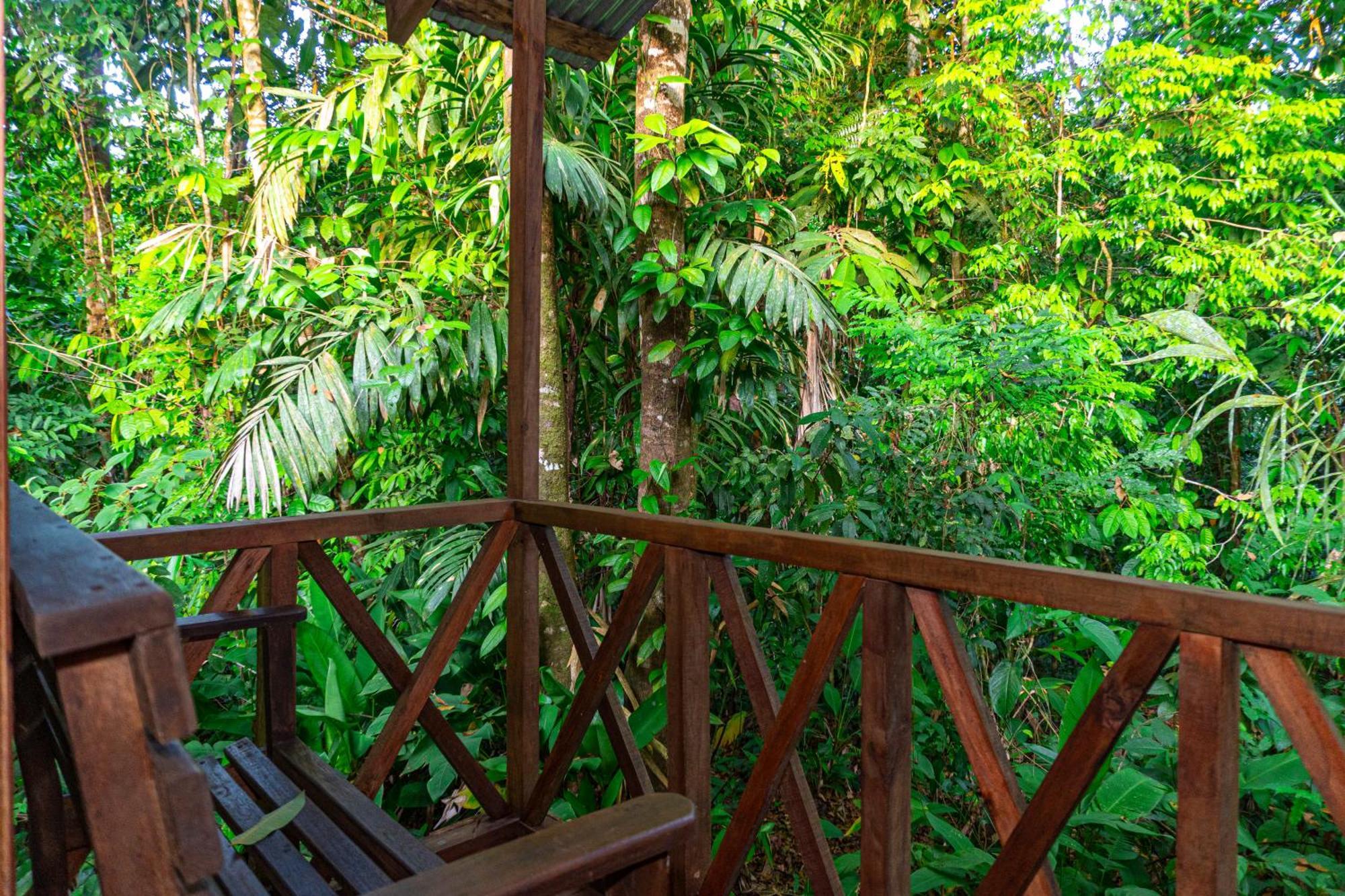 Citronela Lodge Corcovado Drakes Bay Buitenkant foto