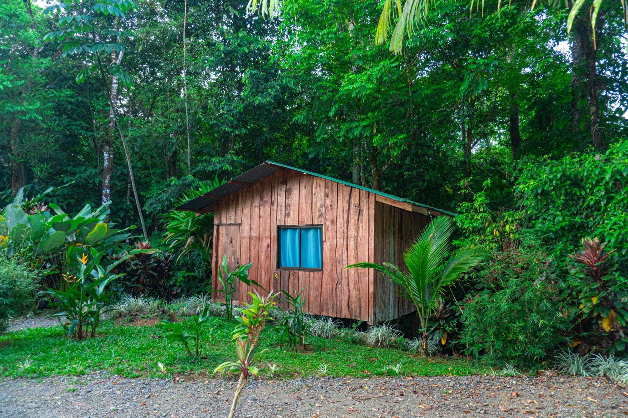 Citronela Lodge Corcovado Drakes Bay Buitenkant foto