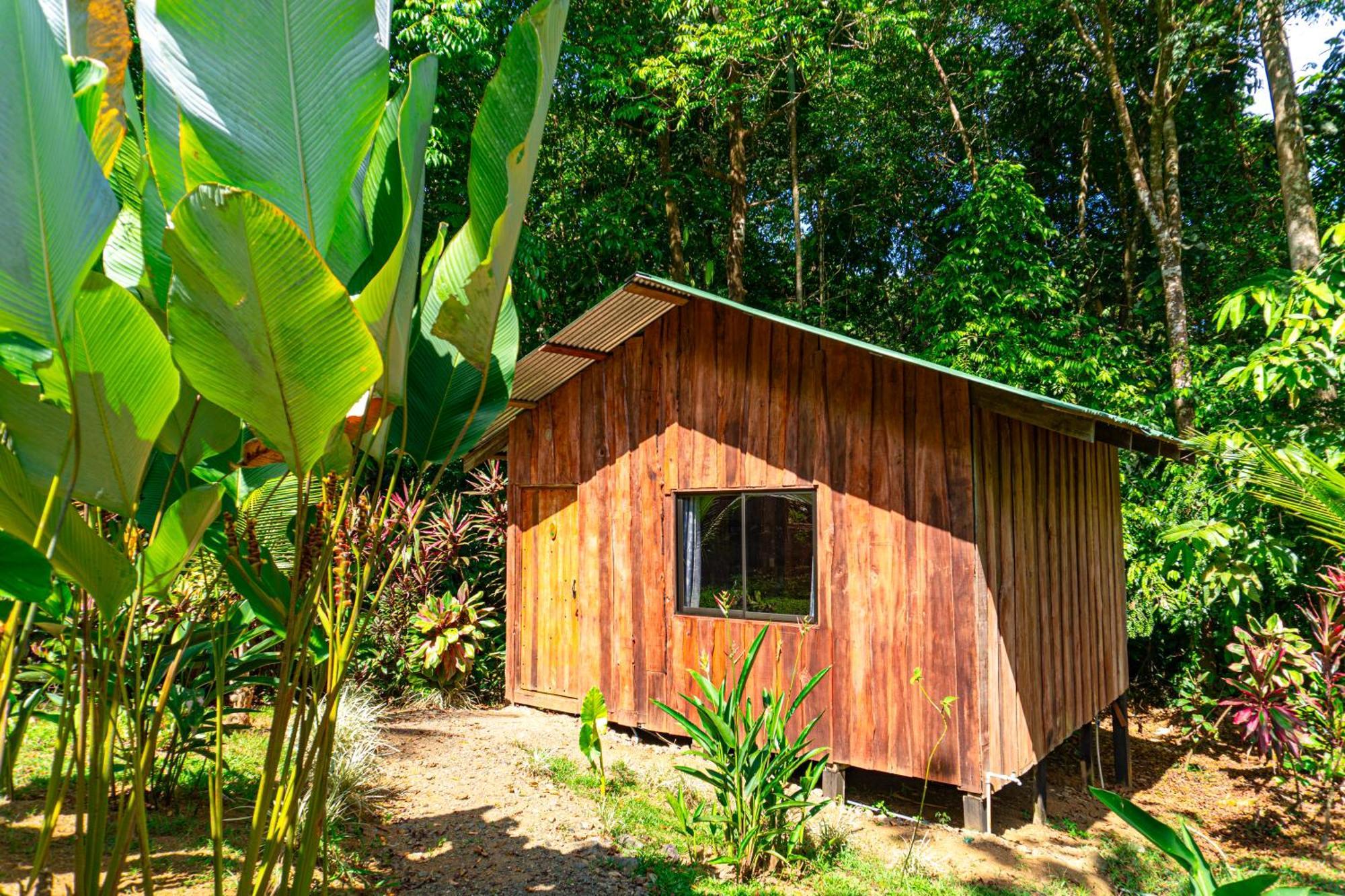Citronela Lodge Corcovado Drakes Bay Buitenkant foto
