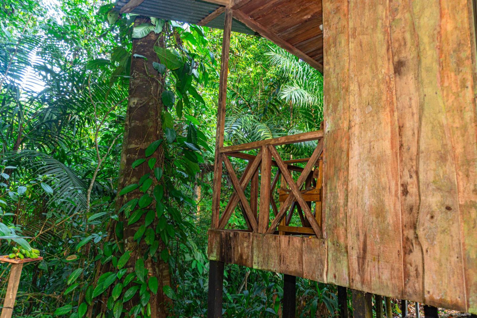 Citronela Lodge Corcovado Drakes Bay Buitenkant foto
