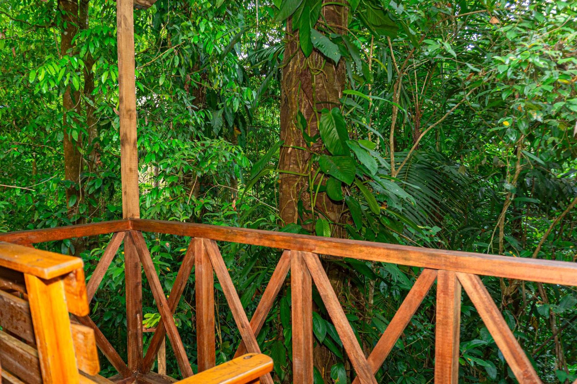 Citronela Lodge Corcovado Drakes Bay Buitenkant foto