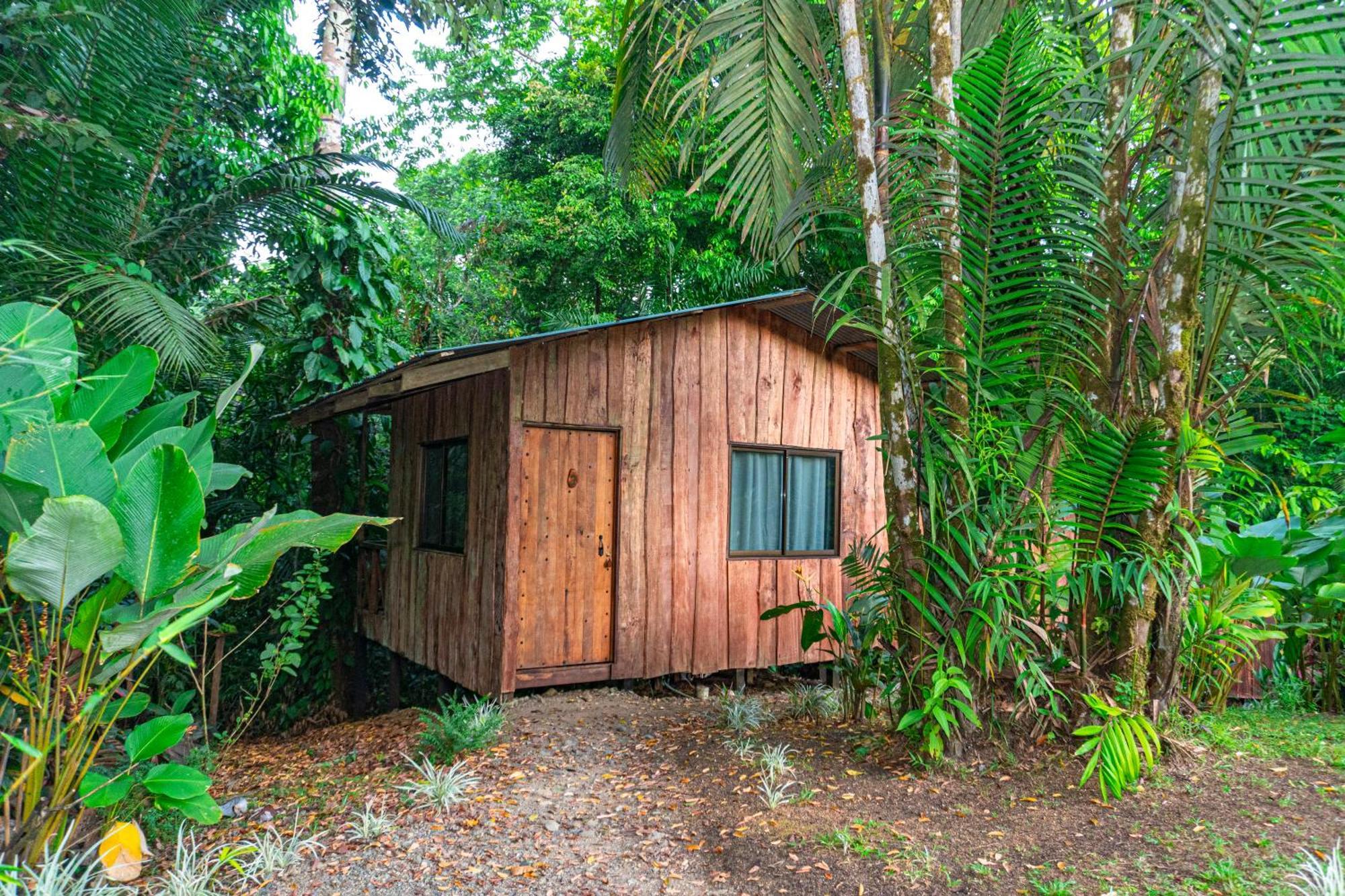 Citronela Lodge Corcovado Drakes Bay Buitenkant foto