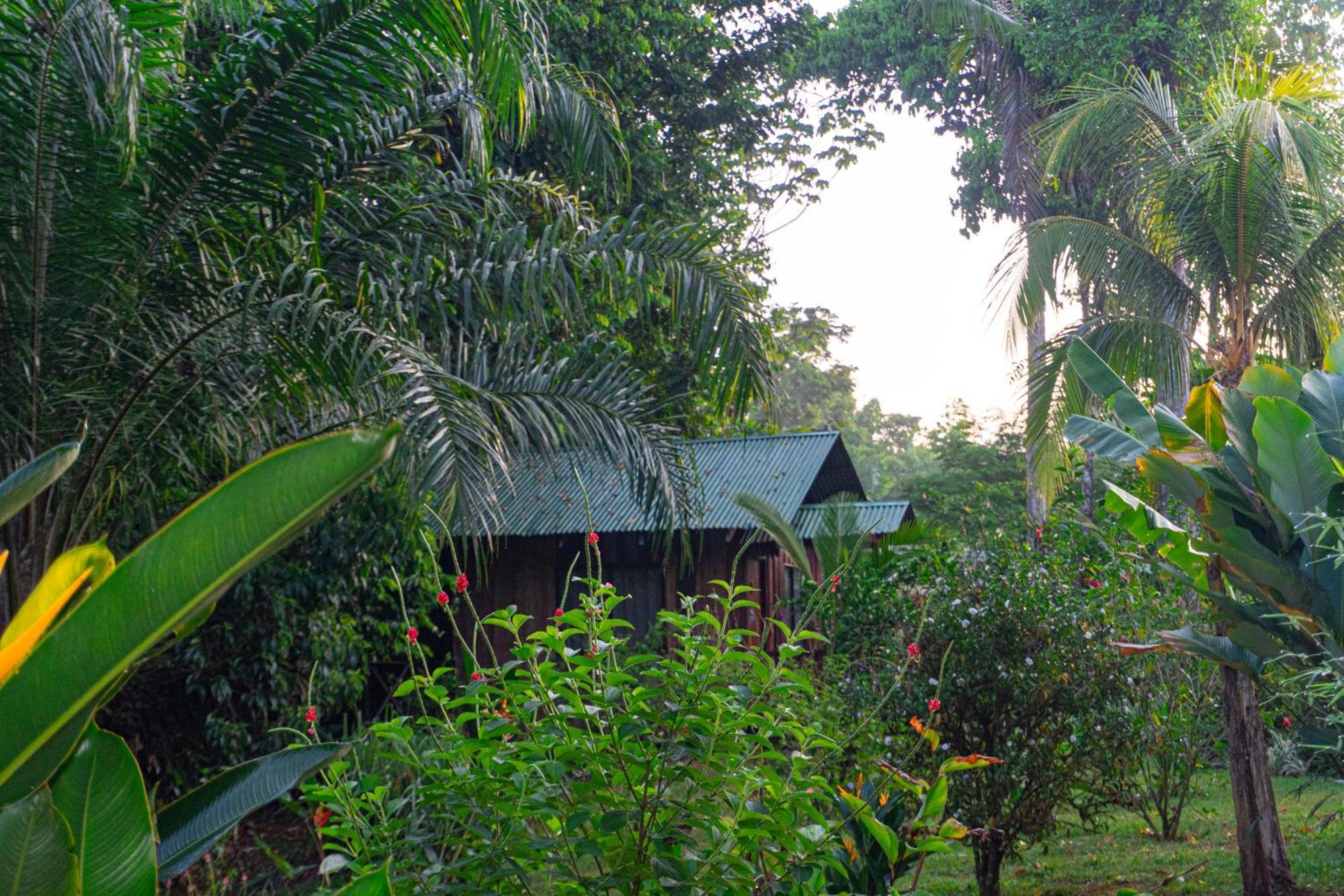 Citronela Lodge Corcovado Drakes Bay Buitenkant foto