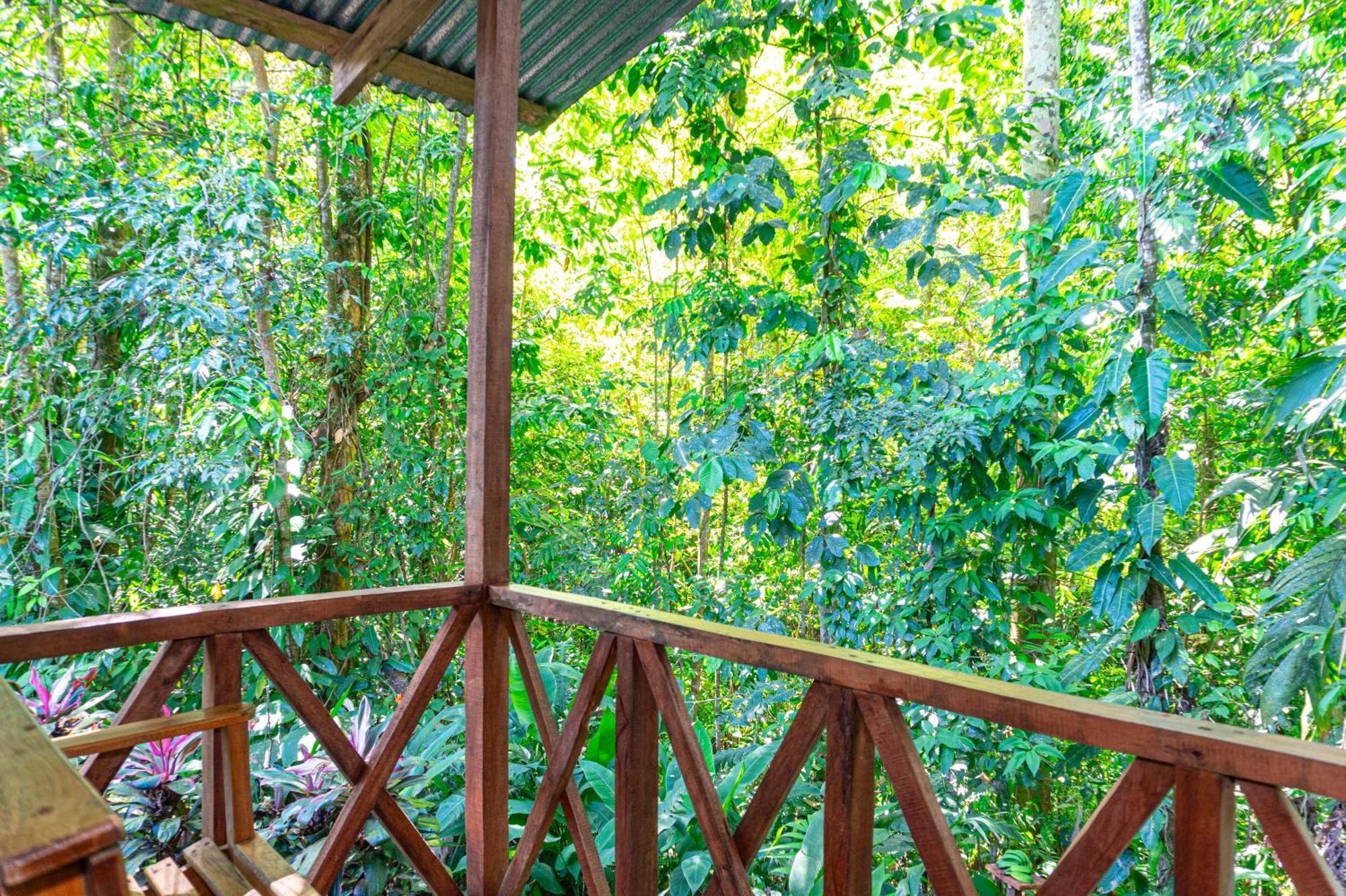 Citronela Lodge Corcovado Drakes Bay Buitenkant foto