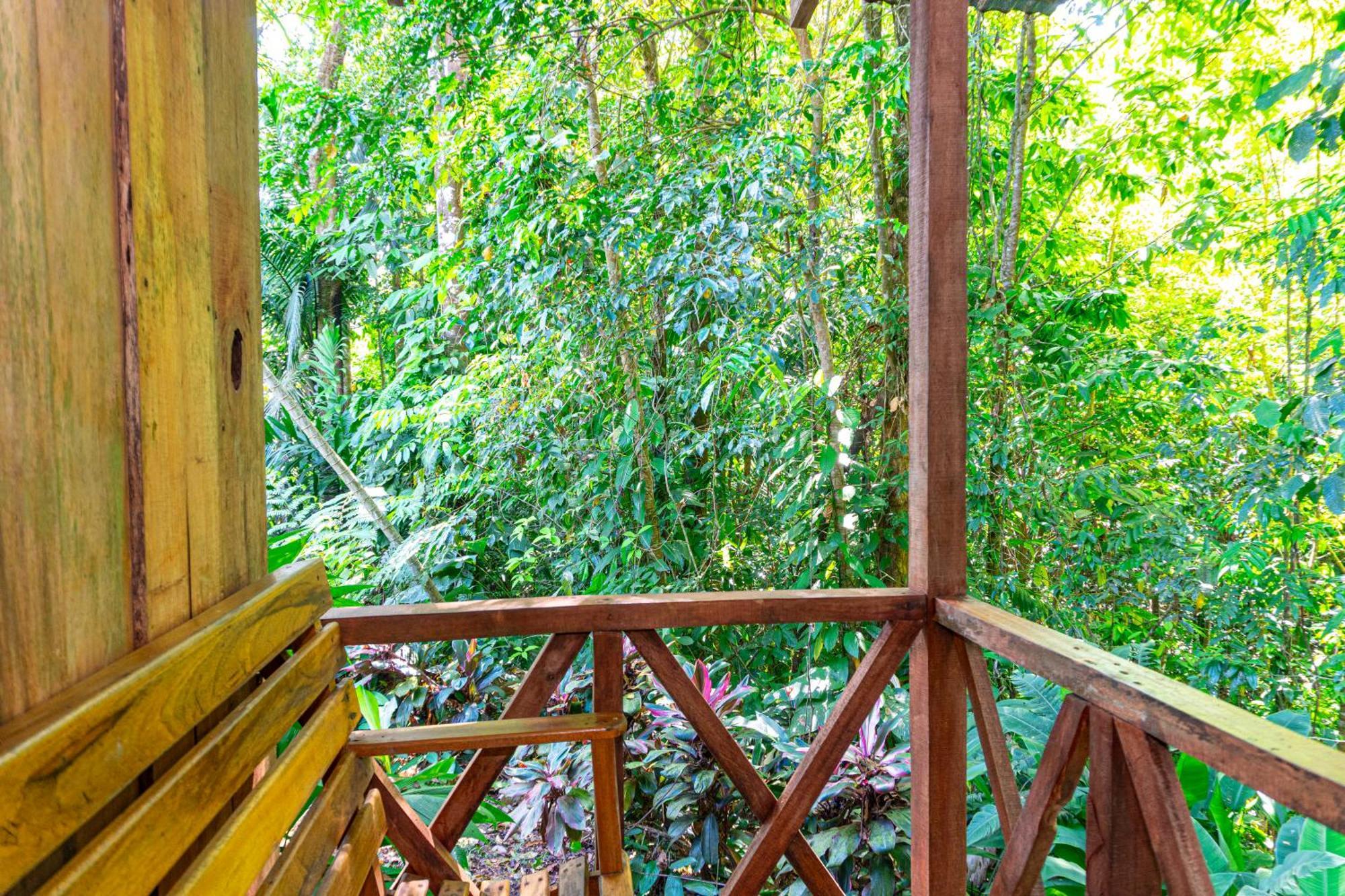 Citronela Lodge Corcovado Drakes Bay Buitenkant foto
