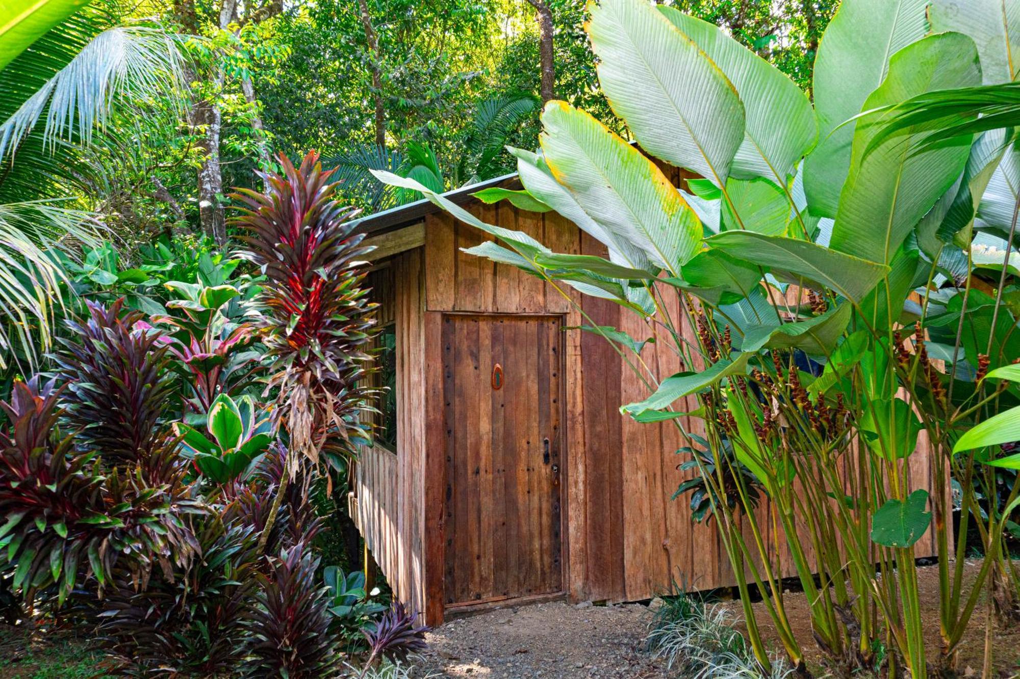 Citronela Lodge Corcovado Drakes Bay Buitenkant foto