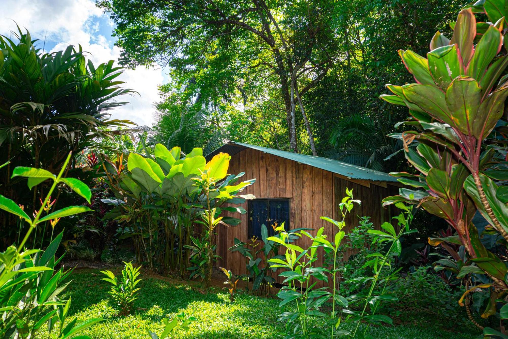 Citronela Lodge Corcovado Drakes Bay Buitenkant foto