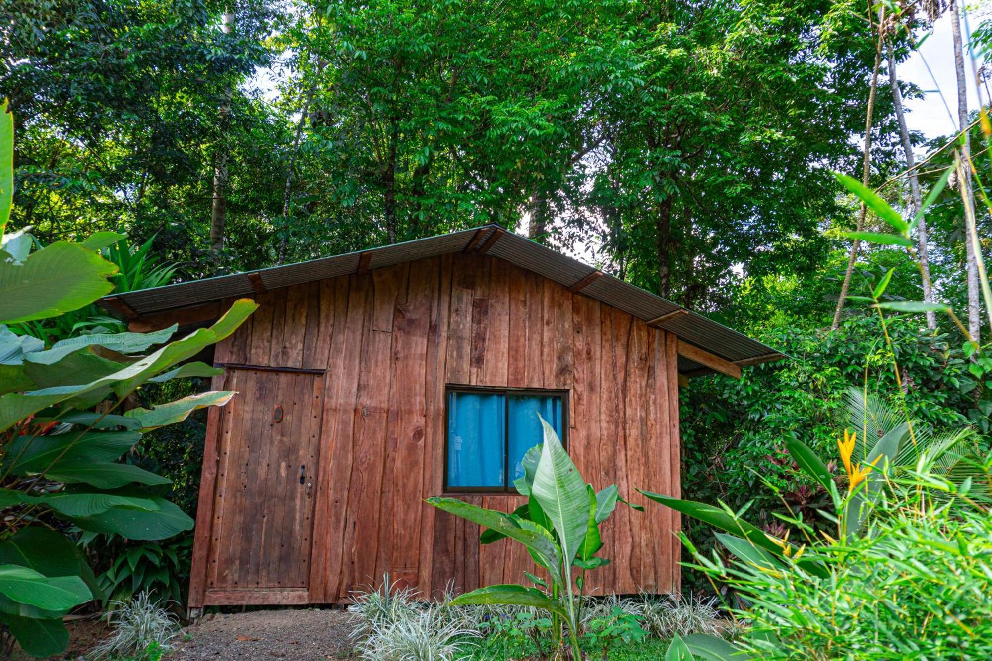 Citronela Lodge Corcovado Drakes Bay Buitenkant foto