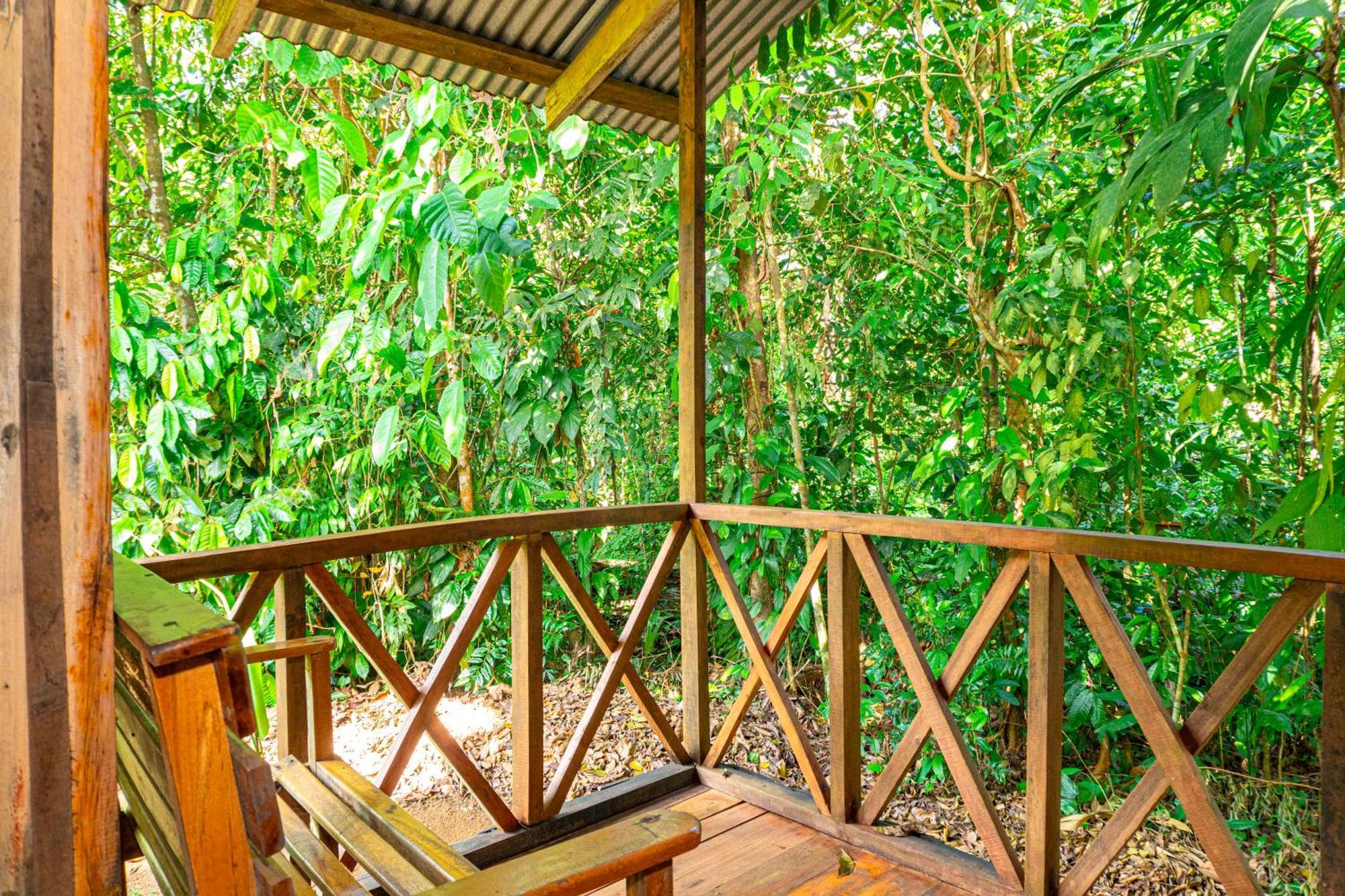 Citronela Lodge Corcovado Drakes Bay Buitenkant foto